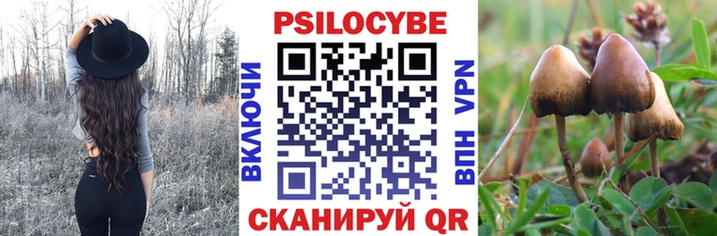 ОМГ ОМГ   Ковылкино  Псилоцибиновые грибы Magic Shrooms 